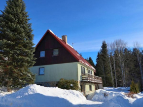 Apartment Harrachov 387 by Interhome Harrachov
